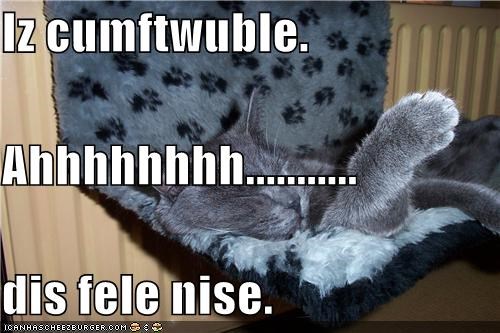 Iz cumftwuble. Ahhhhhhhh........... dis fele nise.