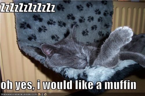 ZzZzZzZzZzZz  oh yes, i would like a muffin