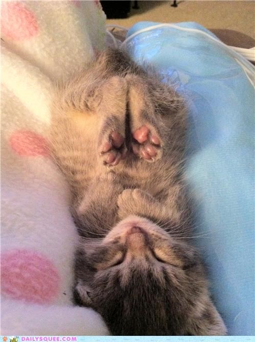 Ellie Sleeping