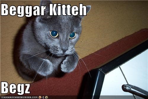 Beggar Kitteh  Begz