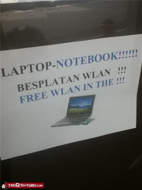 In The What?