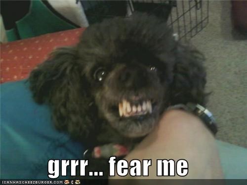grrr... fear me
