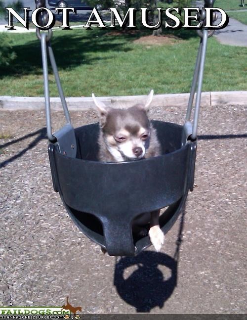 NOT AMUSED
