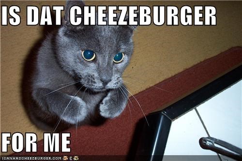 IS DAT CHEEZEBURGER  FOR ME