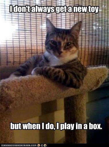 The Most Unappreciative Cat in the World