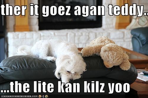 ther it goez agan teddy...  ...the lite kan kilz yoo