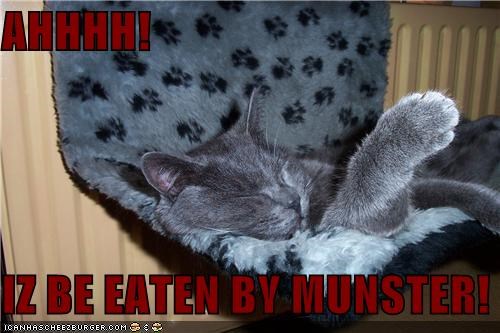 AHHHH!  IZ BE EATEN BY MUNSTER!