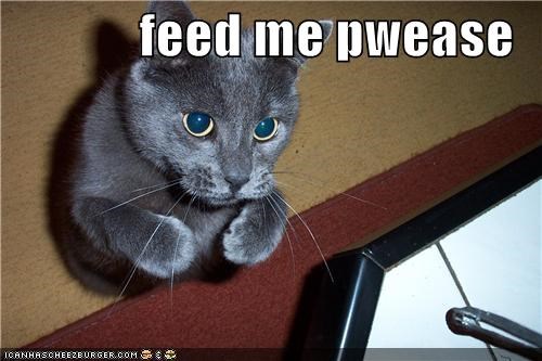 feed me pwease