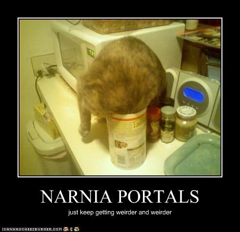 NARNIA PORTALS