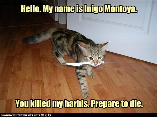 Hello. My name is Inigo Montoya.