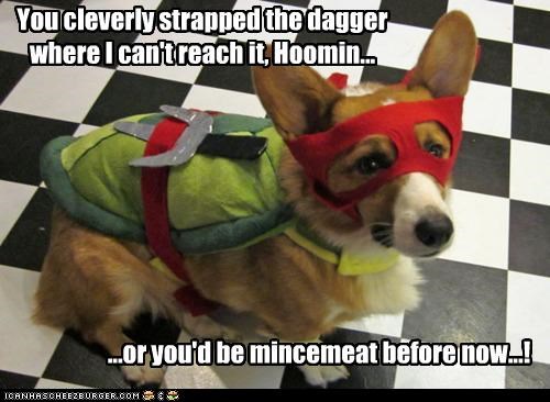 I'll bet the cat taught you that!