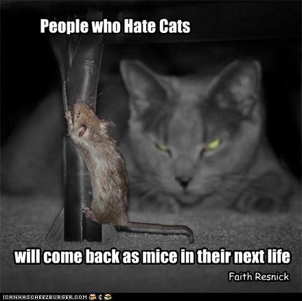Cat Quotes #9