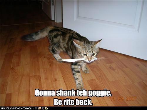 Gonna shank teh goggie. Be rite back.