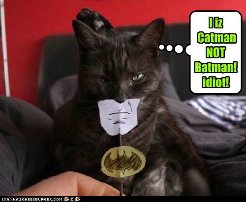 I iz  Catman NOT Batman! idiot!