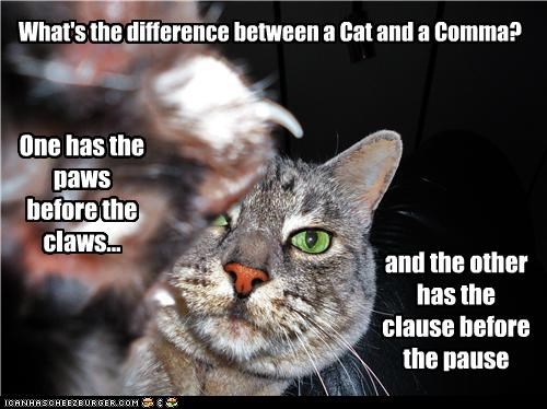 A Cat Riddle