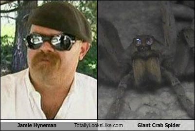Jamie Hyneman Totally Looks Like Giant Crab Spider