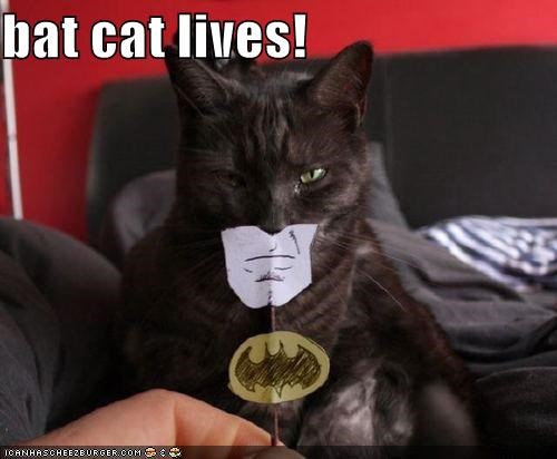 bat cat lives!