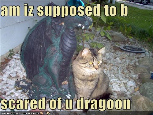 am iz supposed to b  scared of u dragoon