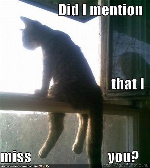 Did I mention  that I  miss                          you?
