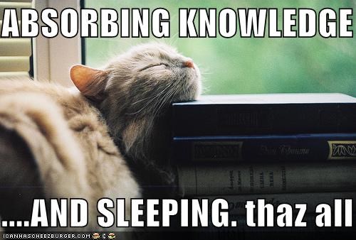 ABSORBING KNOWLEDGE  ....AND SLEEPING. thaz all