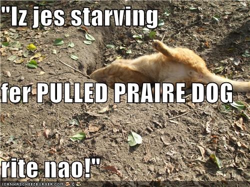 "Iz jes starving fer PULLED PRAIRE DOG rite nao!"
