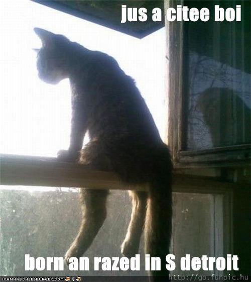 jus a citee boi  born an razed in S detroit