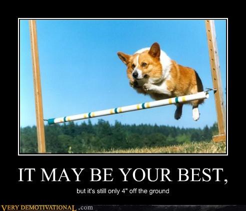 IT MAY BE YOUR BEST,