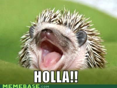WOO! DAY IS OVER!