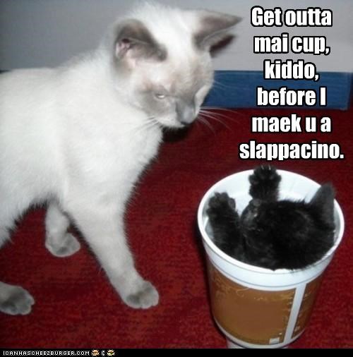 Get outta mai cup,