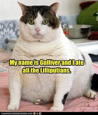My name is Gulliver