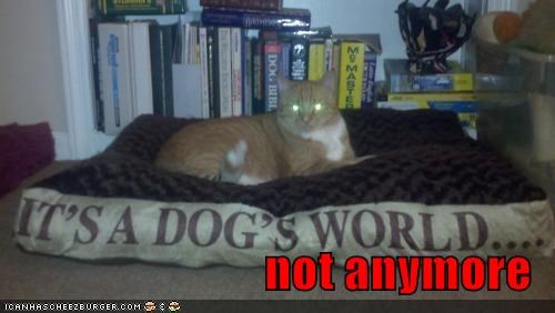 not