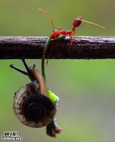 Mother Nature FTW: I Got You, Bro
