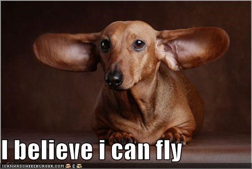 I believe i can fly