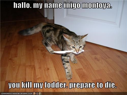 hallo. my name inigo montoya.    you kill my fodder. prepare to die.