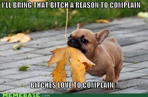Ladies Love Leaves