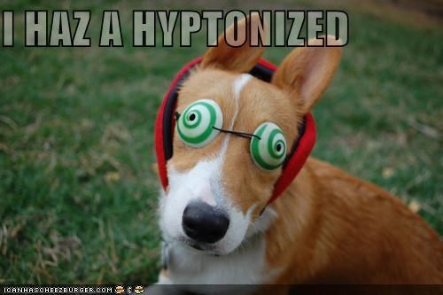 I HAZ