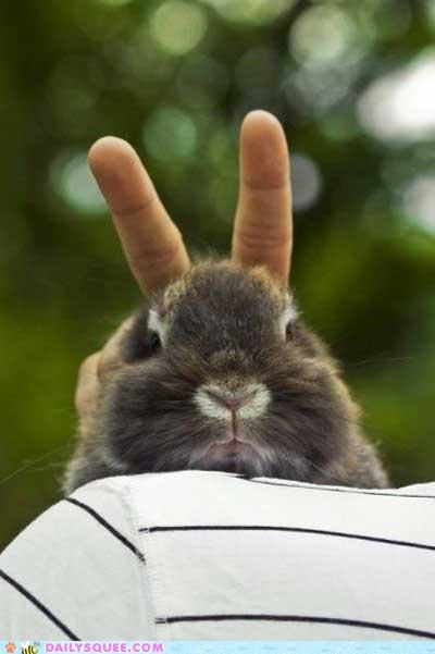 Acting Like Animals: Very Funny...