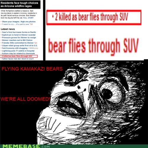 Flying Bear Hits SUV
