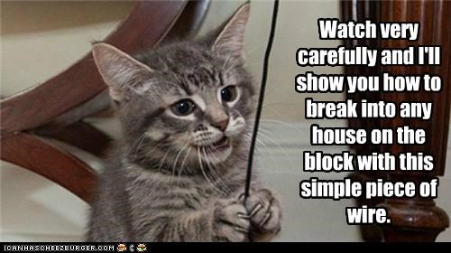 Cat Burglary 101