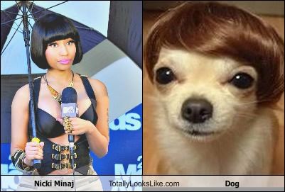 Nicki Minaj Totally Looks Like Dog