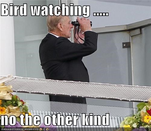 Bird watching .....   no the other kind