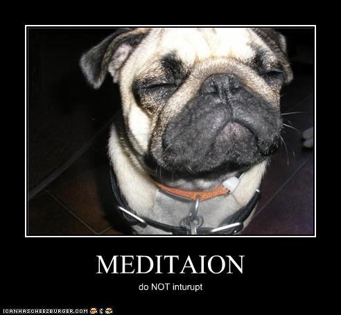 MEDITAION