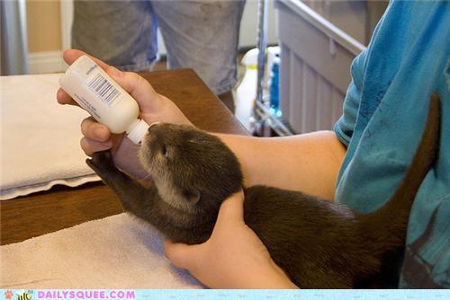 Squee Spree: A Friday Feast