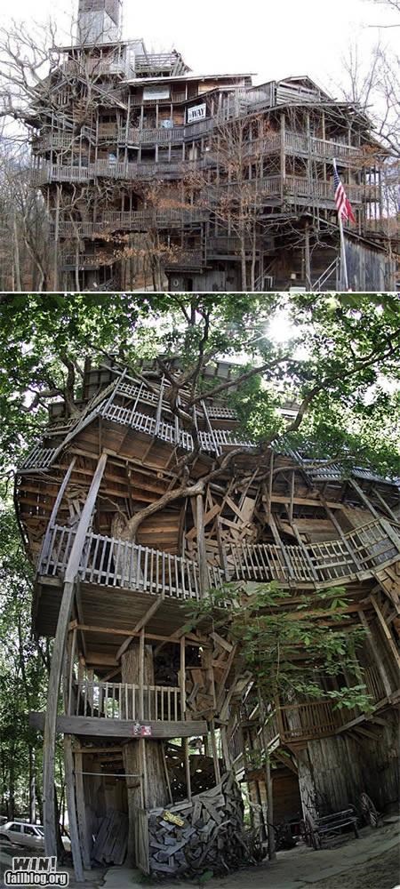 Giant Treehouse WIN