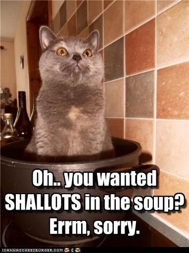 Oh.. you wanted SHALLOTS