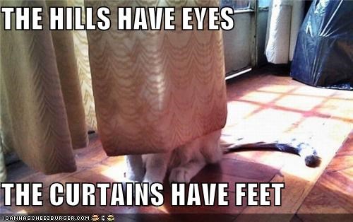 THE HILLS HAVE EYES