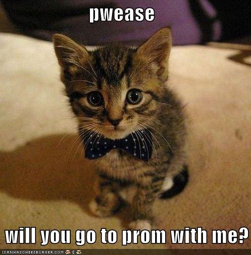 pwease      will you go to prom with me?