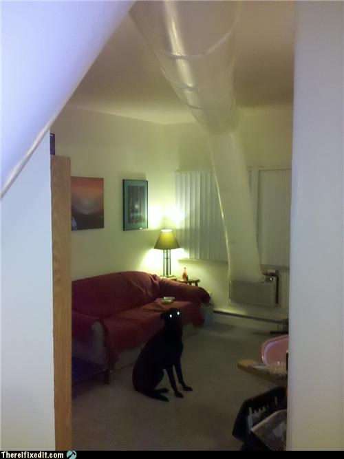 Satan's Dog Disapproves of Your Fix