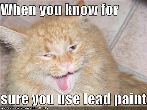 The Dangurrs of Lead Purrrnnt