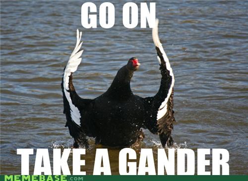 Come at Me, Bro